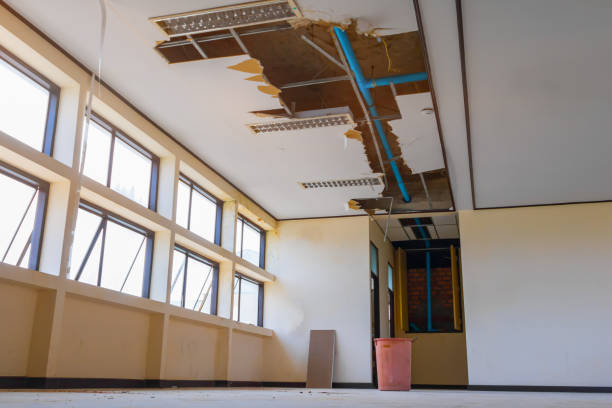 Best Commercial water damage restoration  in Bethany, IL