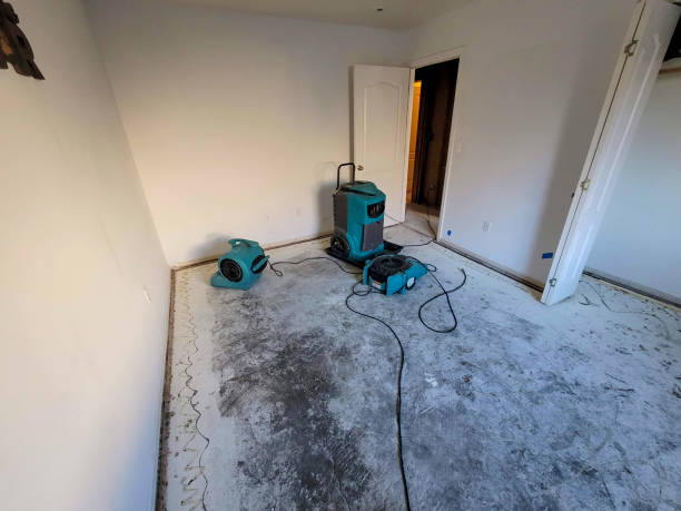Best Water damage restoration near me  in Bethany, IL