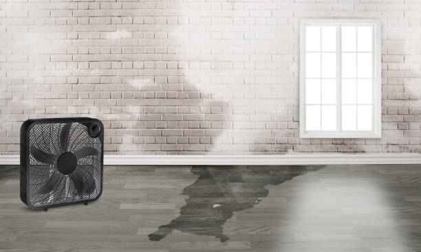 Fire Damage Restoration in Bethany, IL