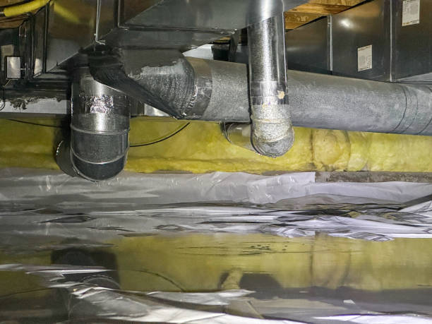 Best Carpet water damage restoration  in Bethany, IL